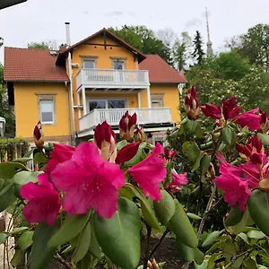 Apartment Casa Casimir Mit Elbblick, Balkon Und Grossen Garten